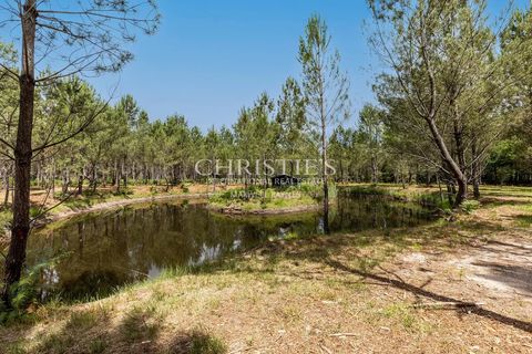 Villa i Ychoux, Landes, Ychoux - € 991.000 | Ref: GV1015 - foto 7