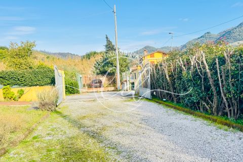 Villa a Massarosa, Lucca, Massarosa - € 560.000 | Ref: 2666 - foto 3
