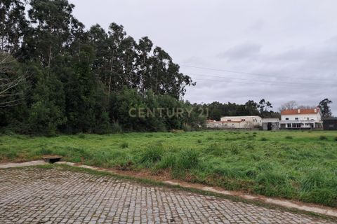 Helårsgrund i Ovar, Aveiro, Ovar - € 257.000 | Ref: C0496-00124 - foto 4