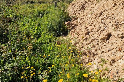 Helårsgrund i Espinho, Aveiro, Espinho - € 125.000 | Ref: C0496-00128 - foto 6