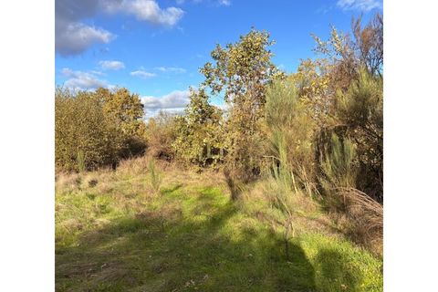 Helårsgrund i Guarda, Guarda, Guarda - € 64.900 | Ref: TER_121 - foto 1
