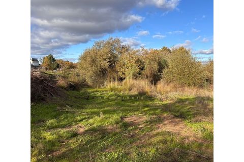 Helårsgrund i Guarda, Guarda, Guarda - € 64.900 | Ref: TER_121 - foto 2
