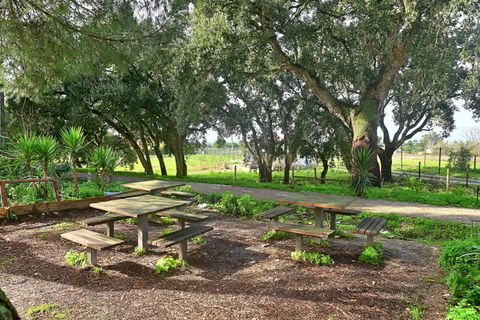 Lejlighed i Pinhal Novo, Setubal, Pinhal Novo - € 255.000 | Ref: C0212-04276 - foto 24