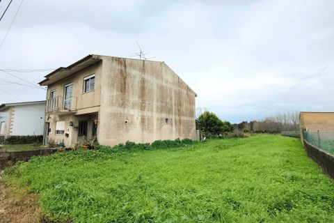 Villa i Oliveira do Bairro, Aveiro, Oliveira do Bairro - € 280.000 | Ref: C0385-00957 - foto 13