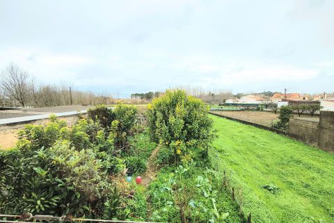 Villa i Oliveira do Bairro, Aveiro, Oliveira do Bairro - € 280.000 | Ref: C0385-00957 - foto 16