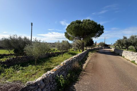Villa i Modica, Ragusa, Modica - € 215.000 | Ref: 11689 - foto 6