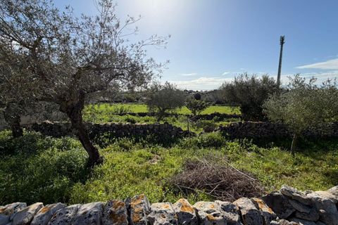 Villa i Modica, Ragusa, Modica - € 215.000 | Ref: 11689 - foto 7