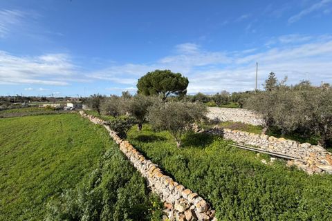 Villa i Modica, Ragusa, Modica - € 215.000 | Ref: 11689 - foto 12
