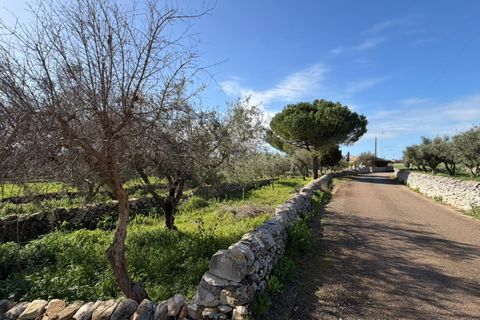 Villa i Modica, Ragusa, Modica - € 215.000 | Ref: 11689 - foto 14