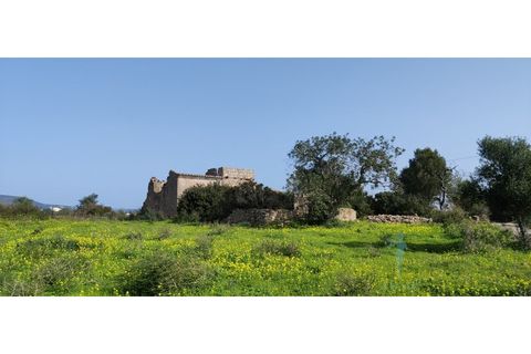Farm i Quelfes, Faro, Quelfes - € 360.000 | Ref: 480 - foto 3