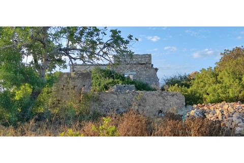 Farm i Quelfes, Faro, Quelfes - € 360.000 | Ref: 480 - foto 5