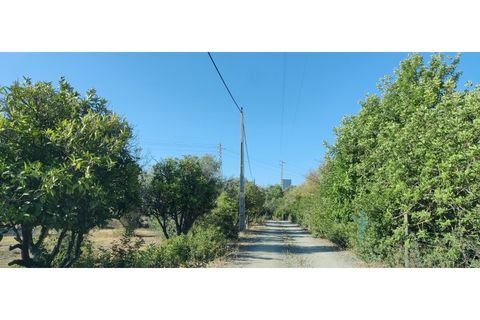 Farm i Quelfes, Faro, Quelfes - € 360.000 | Ref: 480 - foto 4
