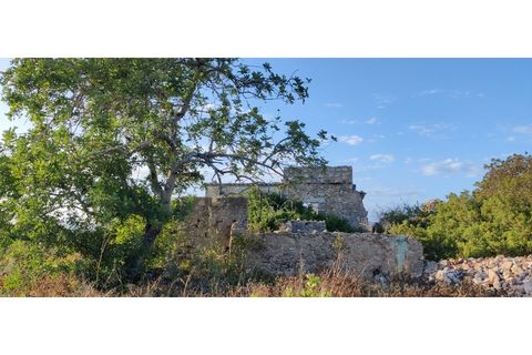 Farm i Quelfes, Faro, Quelfes - € 360.000 | Ref: 480 - foto 6
