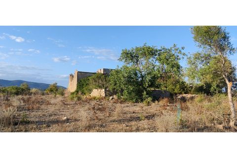 Farm i Quelfes, Faro, Quelfes - € 360.000 | Ref: 480 - foto 7