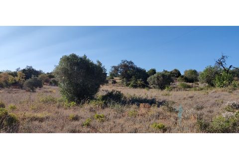 Farm i Quelfes, Faro, Quelfes - € 360.000 | Ref: 480 - foto 11