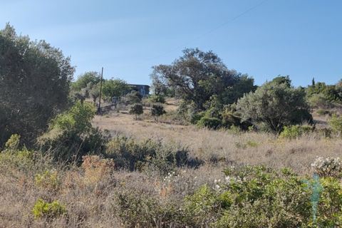 Farm i Quelfes, Faro, Quelfes - € 360.000 | Ref: 480 - foto 12