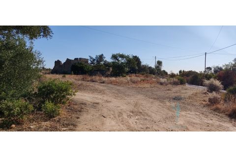 Farm i Quelfes, Faro, Quelfes - € 360.000 | Ref: 480 - foto 13