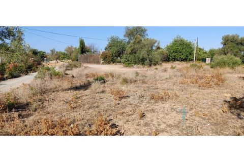 Farm i Quelfes, Faro, Quelfes - € 360.000 | Ref: 480 - foto 15