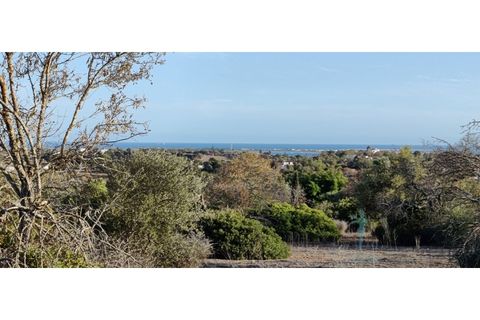 Farm i Quelfes, Faro, Quelfes - € 360.000 | Ref: 480 - foto 19