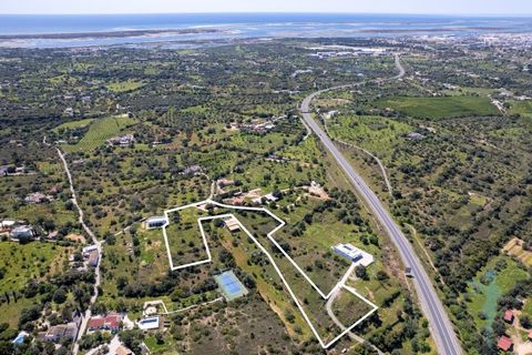 Farm i Quelfes, Faro, Quelfes - € 360.000 | Ref: 480 - foto 2