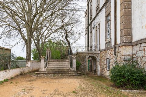Cortijo i Serpa, Beja, Serpa - € 1.190.000 | Ref: C0492-00001 - foto 9