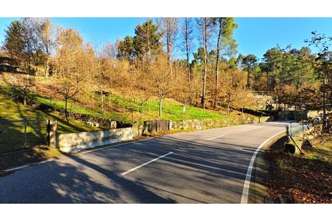 Helårsgrund i Moncao, Viana do Castelo, Moncao - € 20.000 | Ref: 4311 - foto 3