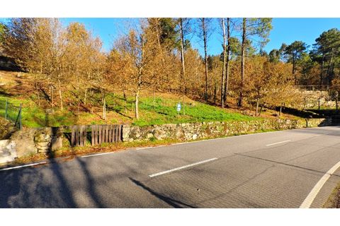 Helårsgrund i Moncao, Viana do Castelo, Moncao - € 20.000 | Ref: 4311 - foto 5