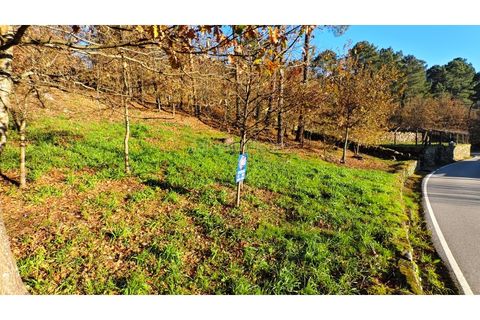 Helårsgrund i Moncao, Viana do Castelo, Moncao - € 20.000 | Ref: 4311 - foto 6