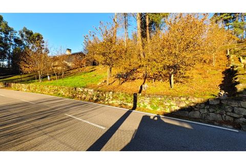 Helårsgrund i Moncao, Viana do Castelo, Moncao - € 20.000 | Ref: 4311 - foto 7