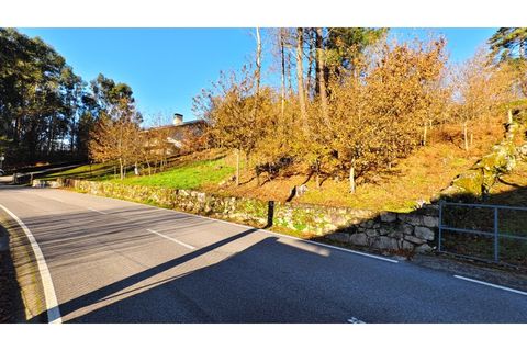 Helårsgrund i Moncao, Viana do Castelo, Moncao - € 20.000 | Ref: 4311 - foto 9