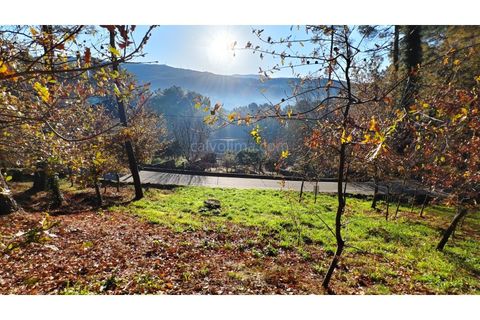 Helårsgrund i Moncao, Viana do Castelo, Moncao - € 20.000 | Ref: 4311 - foto 16
