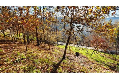 Helårsgrund i Moncao, Viana do Castelo, Moncao - € 20.000 | Ref: 4311 - foto 20