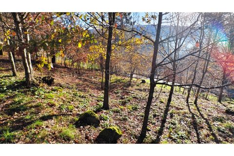 Helårsgrund i Moncao, Viana do Castelo, Moncao - € 20.000 | Ref: 4311 - foto 22