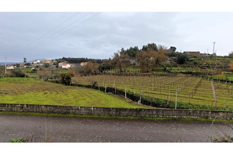 Helårsgrund i Moncao, Viana do Castelo, Moncao - € 50.000 | Ref: 4318 - foto 1