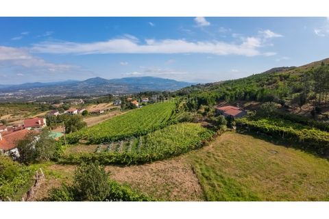 Landejendom i Moncao, Viana do Castelo, Moncao - € 80.000 | Ref: 4193 - foto 4