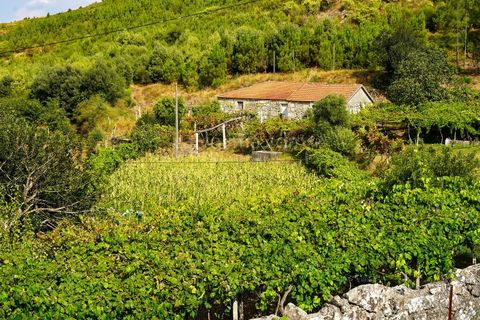 Landejendom i Moncao, Viana do Castelo, Moncao - € 80.000 | Ref: 4193 - foto 5