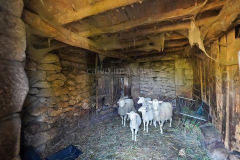 Landejendom i Moncao, Viana do Castelo, Moncao - € 80.000 | Ref: 4193 - foto 15