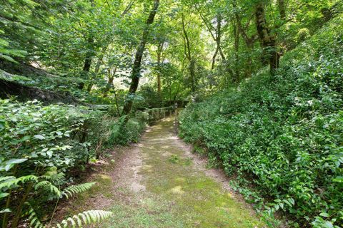 Villa i Sintra, Lisbon, Sintra - € 8.500.000 | Ref: C0539-00022 - foto 37
