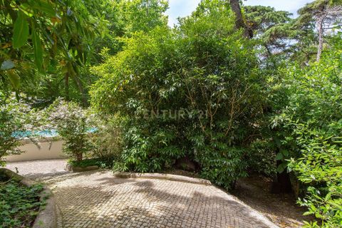 Villa i Sintra, Lisbon, Sintra - € 8.500.000 | Ref: C0539-00022 - foto 38