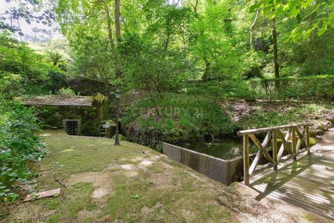 Villa i Sintra, Lisbon, Sintra - € 8.500.000 | Ref: C0539-00022 - foto 41