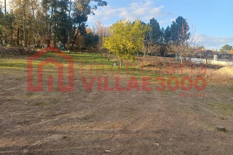 Helårsgrund i Vila Real, Vila Real, Vila Real - € 67.500 | Ref: SÒL_480 - foto 2