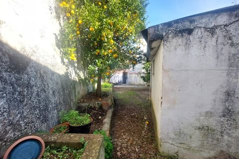 Landejendom i Borba, Evora, Borba - € 170.000 | Ref: CAS_412 - foto 10
