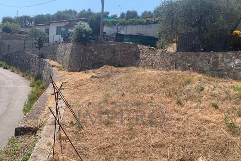 Villa i Bordighera, Imperia, Bordighera - € 350.000 | Ref: 23702 - foto 3