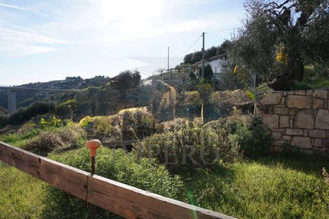 Villa i Bordighera, Imperia, Bordighera - € 350.000 | Ref: 23702 - foto 11