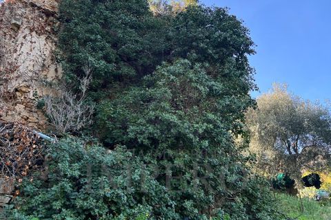 Villa i Bordighera, Imperia, Bordighera - € 350.000 | Ref: 23702 - foto 23