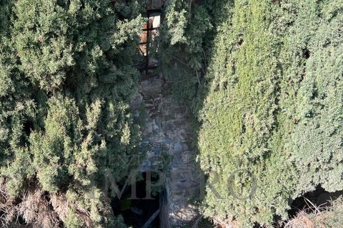 Villa i Bordighera, Imperia, Bordighera - € 350.000 | Ref: 23702 - foto 24
