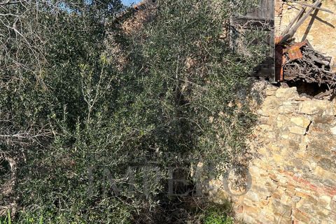 Villa i Bordighera, Imperia, Bordighera - € 350.000 | Ref: 23702 - foto 25