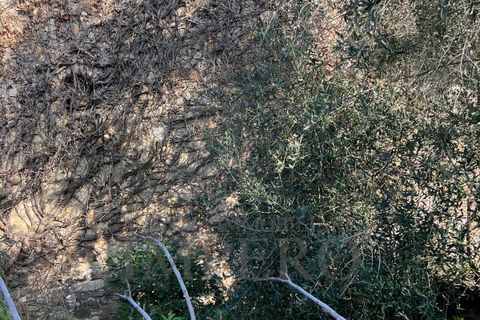 Villa i Bordighera, Imperia, Bordighera - € 350.000 | Ref: 23702 - foto 26