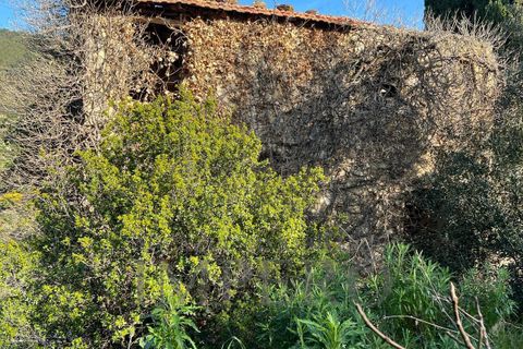 Villa i Bordighera, Imperia, Bordighera - € 350.000 | Ref: 23702 - foto 30