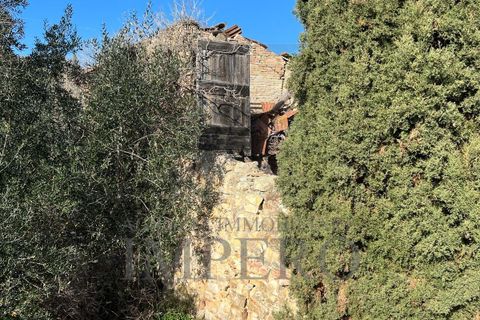 Villa i Bordighera, Imperia, Bordighera - € 350.000 | Ref: 23702 - foto 34
